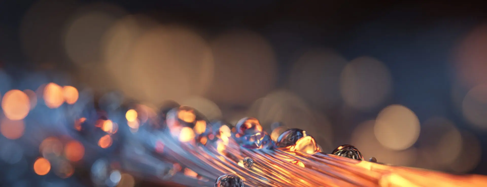 Payment APIs Explained: <br>How They Work and Why Businesses Need Them