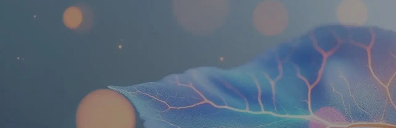 Discussion background