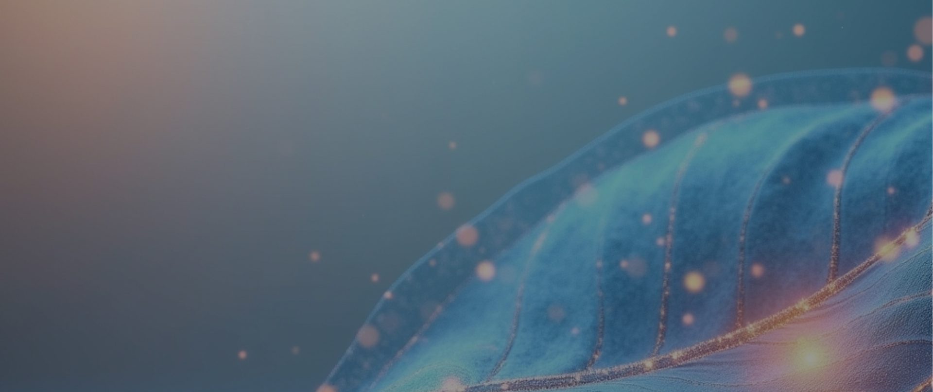 Custom AI Agent Development Services | DevCom