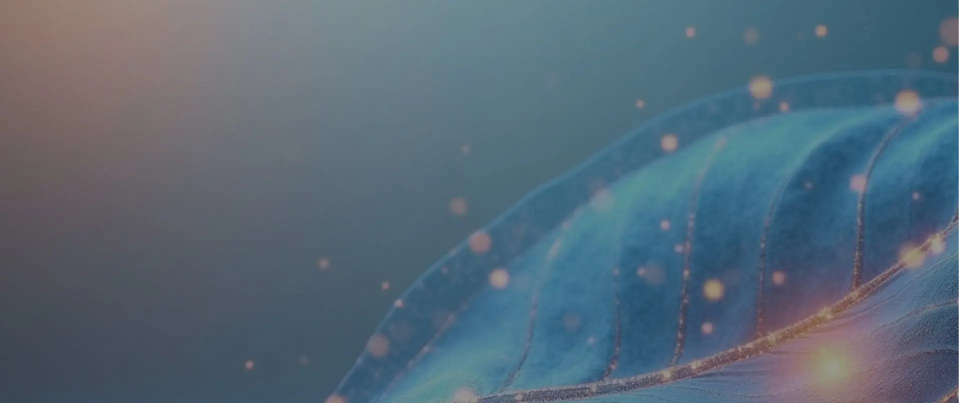 Custom AI Agent Development Services